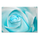 Suche nach eisblau poster Blume