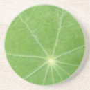 Suche nach leaf untersetzer Natur