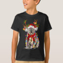 Suche nach koala weihnachten Modern