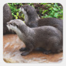 Suche nach niedlicher otter aufkleber Tierwelt