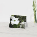 Suche nach empfindlich karten Fotografie