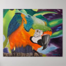 Suche nach tropische vögel poster Farbenfroh