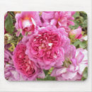 Suche nach englische rose mousepads Weiblich