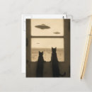 Suche nach lustige tür poster Katze