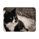 Suche nach rettung magnete Adoption