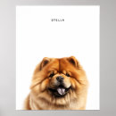 Suche nach chow chow poster Hunde