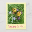 Suche nach frohe ostern postkarten Ostereier