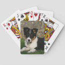 Suche nach border collie spielkarten Welpe