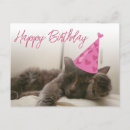 Suche nach lustige hüte karten Kätzchen