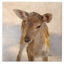 Suche nach deer fliesen Gegner