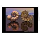 Suche nach schillernde postkarten Gold