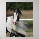 Suche nach sinti und roma vanner poster Bob sprache
