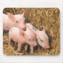 Suche nach ferkel mousepads Bauernhof