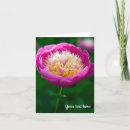 Suche nach sommer fotodruck Rosa