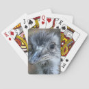 Suche nach make up spielkarten Bird
