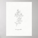 Suche nach birther poster Blume