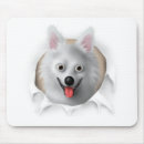 Suche nach amerikanischer eskimo mousepads Welpe