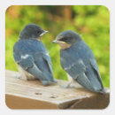Suche nach schwalben aufkleber Vogel