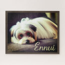 Suche nach yorkshire terrier puzzle Niedlicher hund