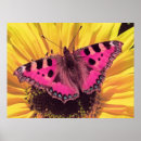 Suche nach schmetterling poster Rosa