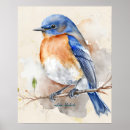 Suche nach niedlicher vogel poster Natur