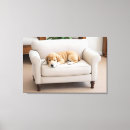 Suche nach labrador retriever leinwandbilder Tiere