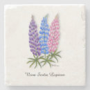 Suche nach lupine untersetzer Botanisch