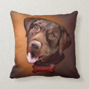 Suche nach schokoladen labrador kissen Retriever