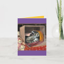 Suche nach kiste postkarten Kätzchen