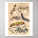 Suche nach raupe poster Vintag