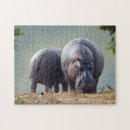 Suche nach hippopotamus puzzle Säugetier