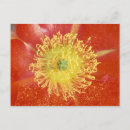 Suche nach sonora poster Detail