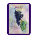 Suche nach weintrauben magnete Rotwein