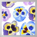 Suche nach stiefmütterchen poster Panik