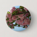 Suche nach frühjahr buttons Quelle