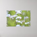 Suche nach knoten leinwandbilder Blume