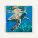 Suche nach schildkröte kleine notizbücher Unter dem meer