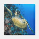 Suche nach rotes meer magnete Nautisch