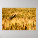 Suche nach ohren poster Sommer