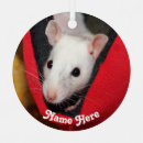 Suche nach ratte ornamente Niedlich