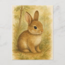 Suche nach wilde hasen postkarten Hare
