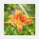 Suche nach blumen foto magnete Elegant