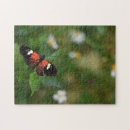 Suche nach insekten puzzle Natur