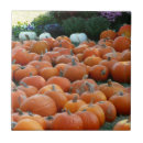 Suche nach chrysanthemen fliesen Herbst