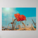 Suche nach idyllisch poster Wiese