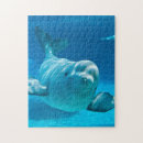 Suche nach wal puzzle Spaß