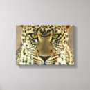 Suche nach wildkatzen leinwandbilder Leopard