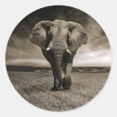 Suche nach andere säugetiere aufkleber Elefant