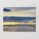 Suche nach möwen postkarten Sonnenaufgang