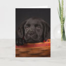 Suche nach schwarzer labrador retriever welpe karten Haustiere